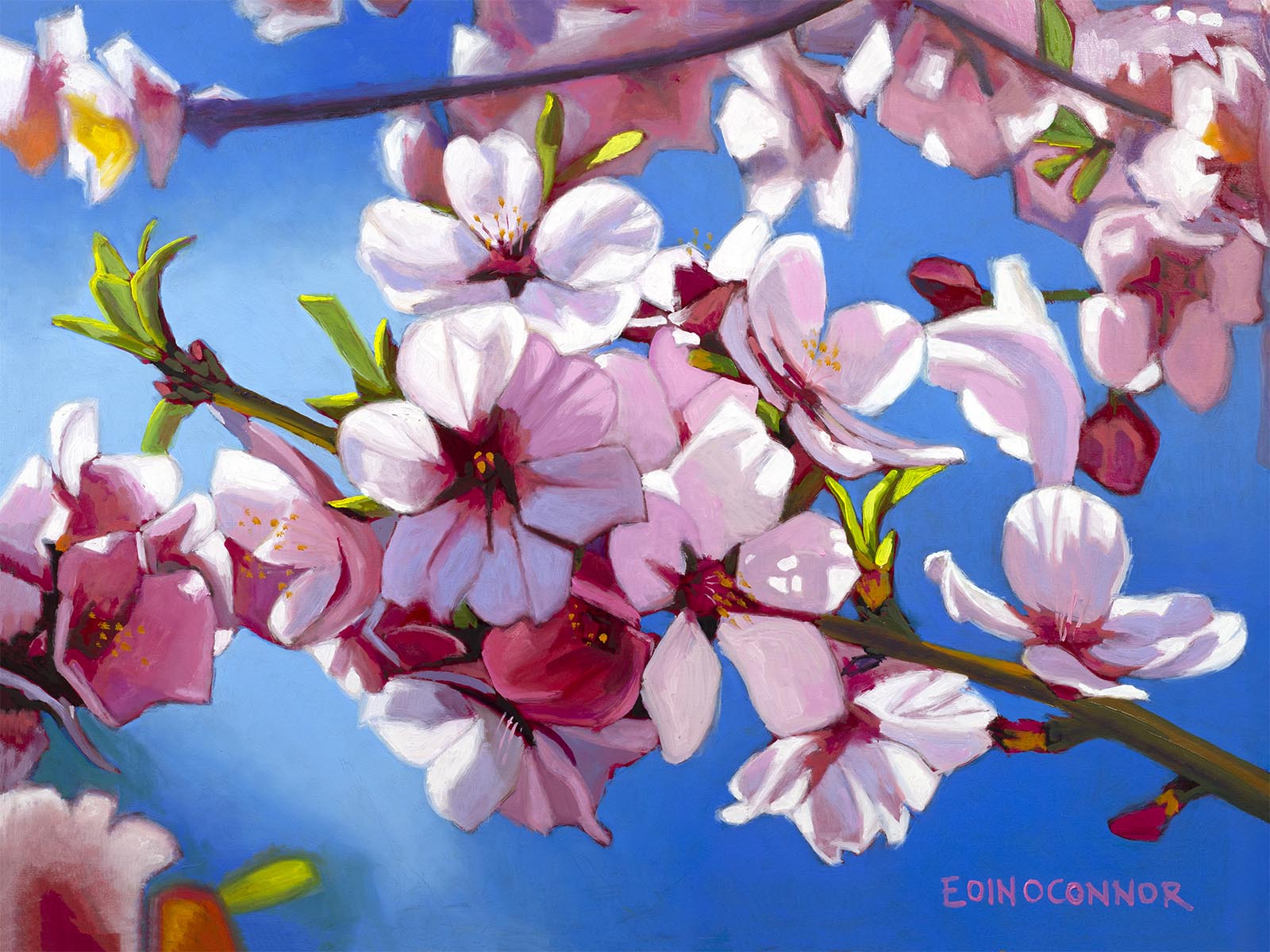 Dance of the cherry tree (Secret Garden collection)